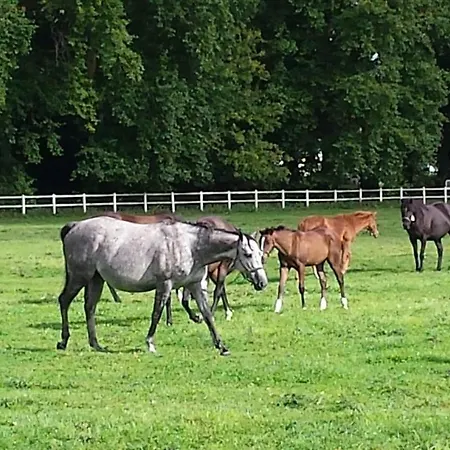 De La Maison Du Haras Beuvron-en-Auge