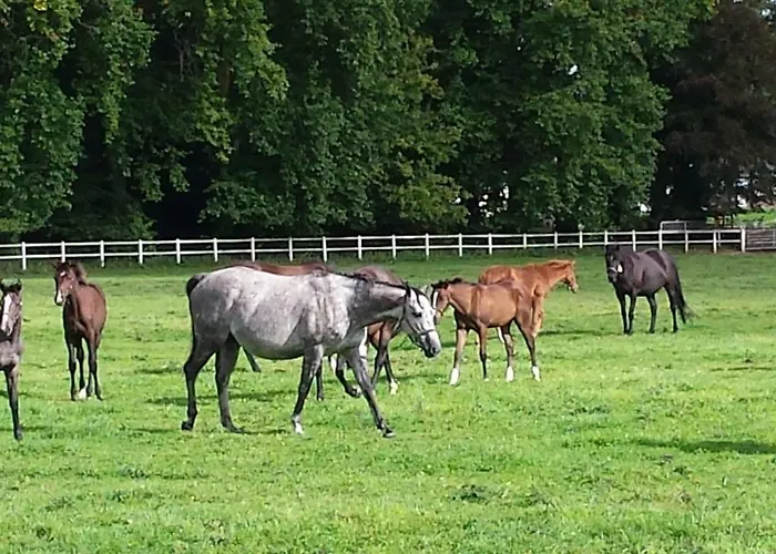 De La Maison Du Haras Beuvron-en-Auge